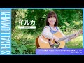 イルカさんよりコメント映像到着!【プレ55周年 イルカコンサート~あいのたね&hearts;まこう!~】