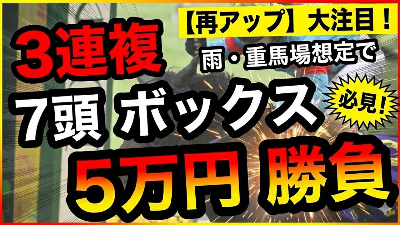 【地獄の京都競馬場】3連複7頭BOXで逆転狙い！合計5万円勝負の結末は!?【競馬馬券勝負】再アップ