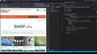 14  Lab 13   Blind SQL injection with time delays