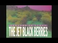 Jet black berriesshadow drive