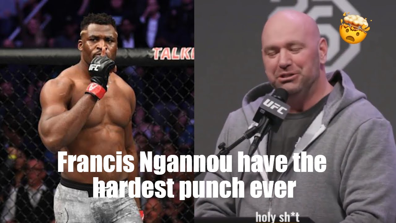 Francis Ngannou have the hardest punch ever. YouTube
