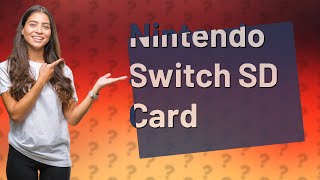 Does a Nintendo Switch need an SD card?