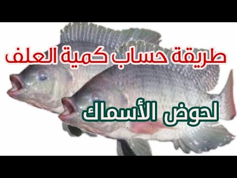 طريقة حساب كمية العلف لحوض الأسماك
