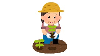 【Farming Simulator 25】植えていく【ぶいすぽ/一ノ瀬うるは】