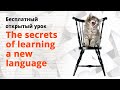 Бесплатный открытый урок на тему: "The secrets of learning a new language"