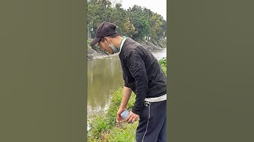 Anh chàng bắt ốc bưu                                 #Shorts