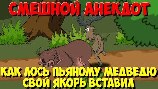 Анекдоты про зверей. Как Лось Пьяному Медведю Свой Якорь Вставил. Мультанекдот