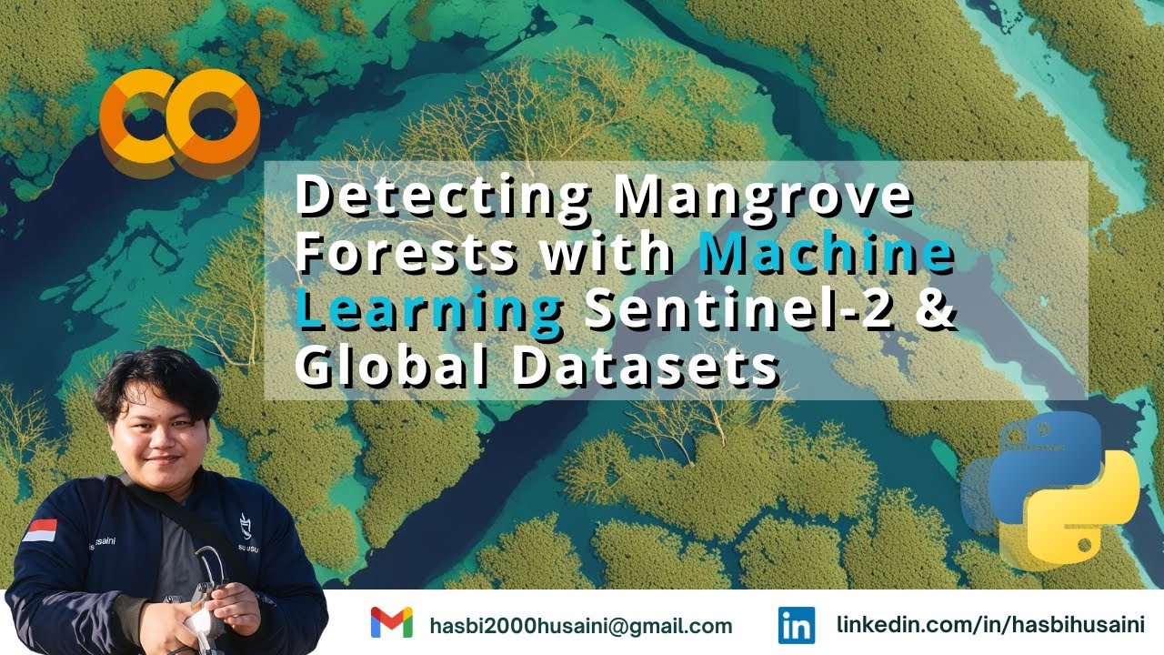 Detecting Mangrove Forests with Machine Learning | Sentinel-2 & Global ...