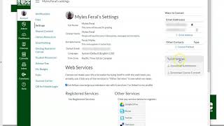 How to change Canvas password