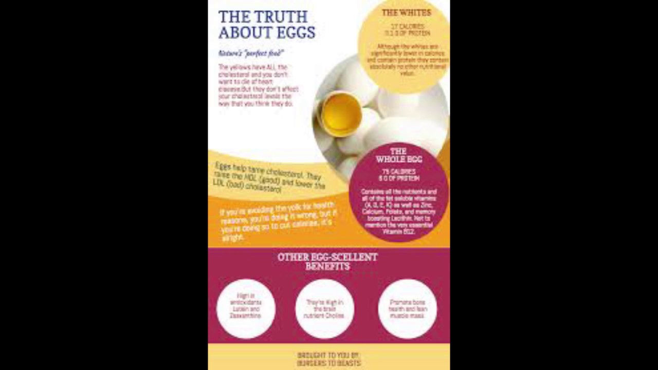 Egg Yolk Benefits P2 YouTube