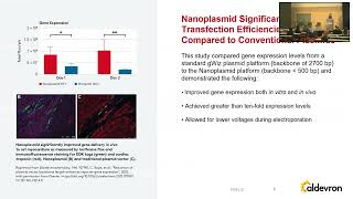 A Next-Generation Plasmid Demonstrated to Improve Non-Viral Vector Manufacturing – Nanoplasmidᵀᴹ