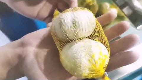 garlic fruit citrus vegetables potato onion ginger net mesh bag packaging packing clipping machine