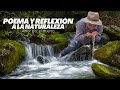 Poema y reflexión sobre la naturaleza de  Amor por el Huerto