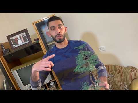 عمر عيسى فن الشجر المعدني اليدوي صنع في القرعون