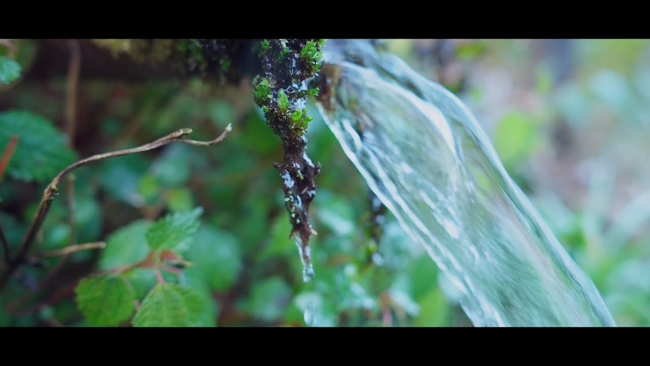 4K 120fps test footage/ SONY ZV-E1 - YouTube