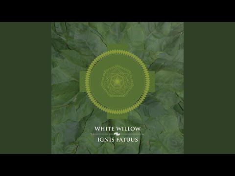 White Willow — Lines on an Autumnal Evening