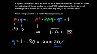 Hardy-Weinburg Equilibrium Problem Solving