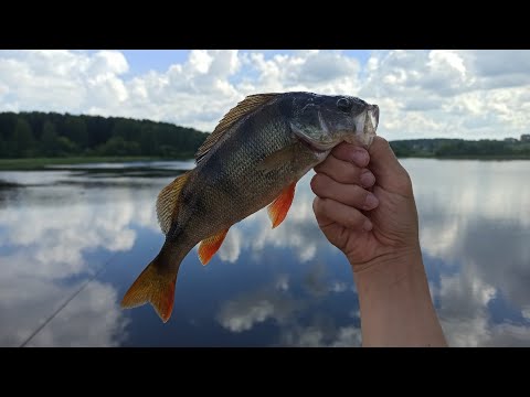Рыбалка на КАНАЛЕ
