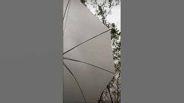 #تلاوة_خاشعة من #سورة_الرحمن #القارئ #محمد_اللحيدان #قرآن #القرآن_الكريم #quran