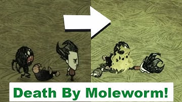 6 Cool Tricks For Don