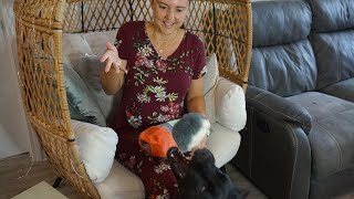 Dog Toy Review Boots And Barkley Occupy