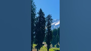 Thumbnail of This is Air traffic control you’re clear for takeoff 🛫🏞️👌♥️