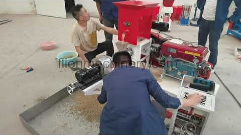 Diesel Engine Floating Fish Feed Pellet Making Machine| Fish Feed Extruder Machine #fishfeedmachine