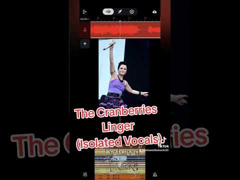 The cranberries -