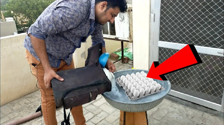 Liquid Nitrogen VS Egg Experiment। लिक्विड नाइट्रोजन में अंडे को डाल दे तो क्या होगा।Shocking Result
