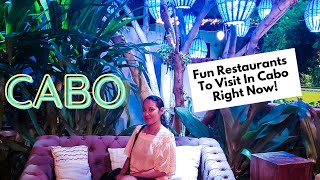 4 Fun Restaurants To Visit in Cabo - Cabo Foodie Travel Guide