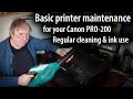 Basic printer maintenance canon pro200 cleaning and use dust and ink buildup