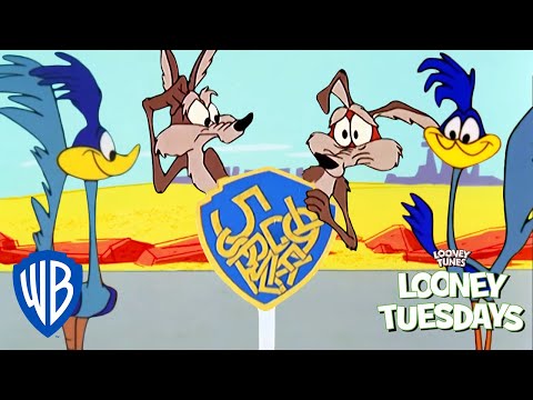 Looney Tuesdays | Coyote Will Never Give Up | Looney Tunes | WB Kids