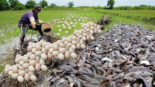 Best Hands Fishing in Dry Season   - 5 Tips to Catch an Amazing Dry Season Fish