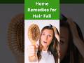 Home Remedy for Hair  Loss #shortsfeed  #shorts