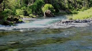 Drift Away | Close Your Eyes. Relax. Listen to the Whisper of the Water | Lyrical Meditation