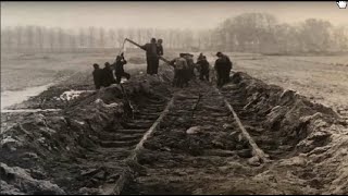 Странная Поляна В Воронежской Губернии