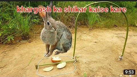 Simple Easy Rabbit Trap Make From Bamboo Work 100% video