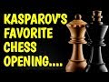 BEST Chess Opening for Black: Sicilian Defense: Basic Strategy, Moves, Variations, Ideas & Tricks