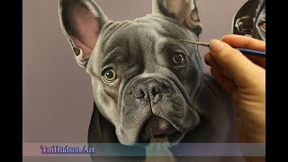 Painting a realistic French Bulldog in acrylic / Timelapse art pet dog portrait