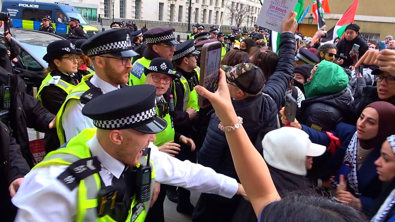 Police make arrests during national pro-palestine protest in London