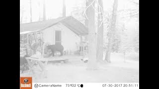 THE TENT. Early August Trip. A Black Bear on the front porch?