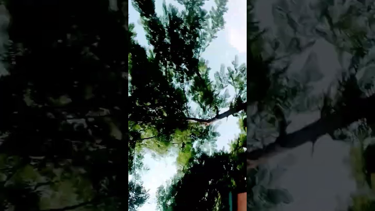 @lakwa kyon Kiya apna batao Jara