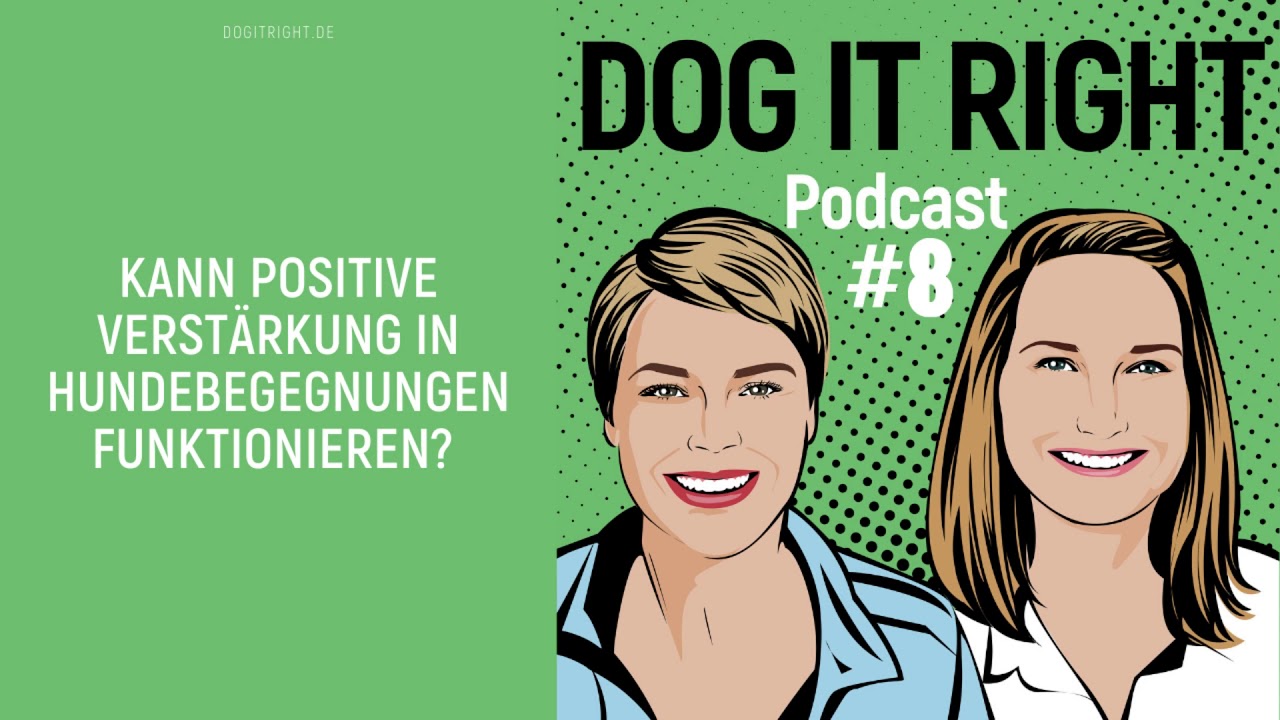Kann positive Verstärkung in Hundebegegnungen funktionieren? | Dog It Right Podcast