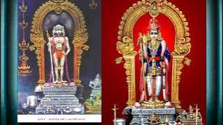 பாசி படர்ந்த மலை! அழகான பாடல்!