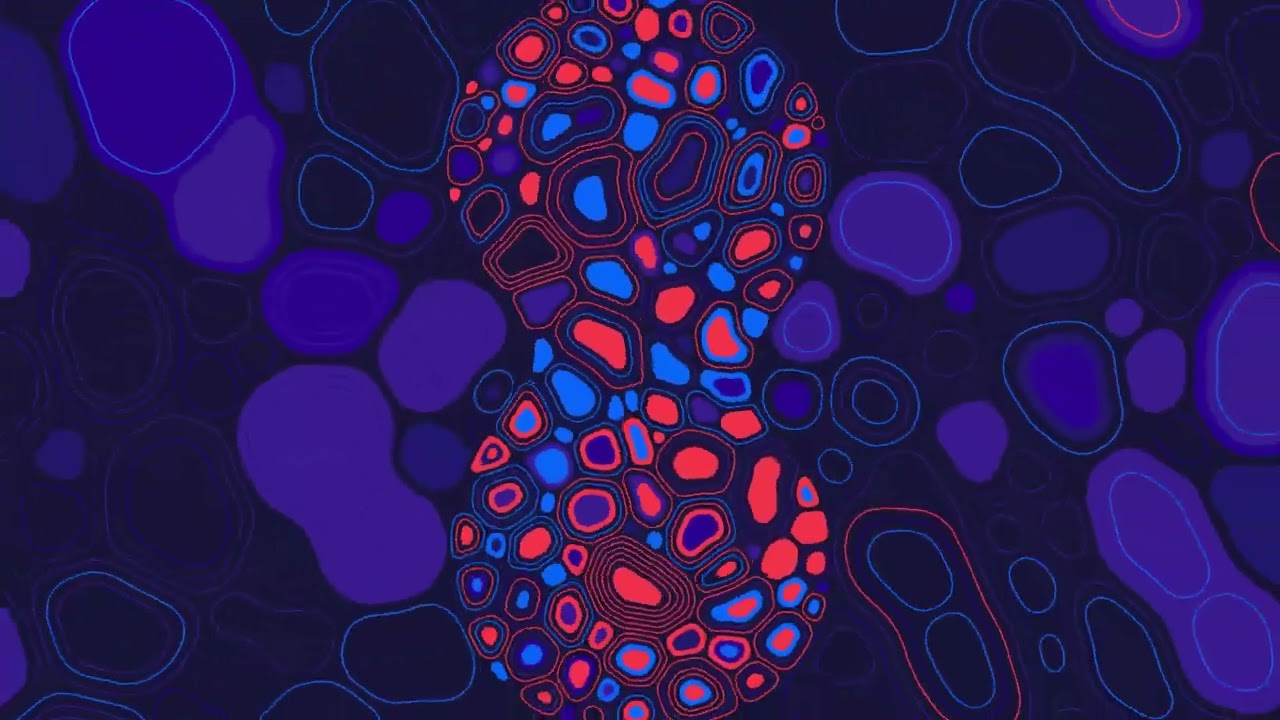 TRT2 Bumper 01 - 2019