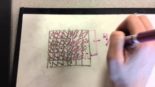Celebrity Module 4 lesson 13, 14, and 15 Net Worth