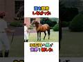 誰も期待しなかった90万円の馬が世界を制した #競馬#horse