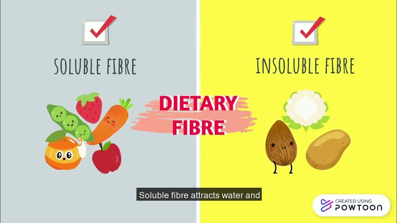 DIETARY FIBRE ANALYSIS YouTube