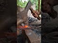 Blacksmith work short video#shorts#shortvideo#america#10millionview#foryou