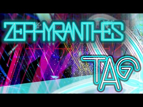 【夏のニュージェネ流星フェスタ2016】ZEPHYRANTHES / TAG